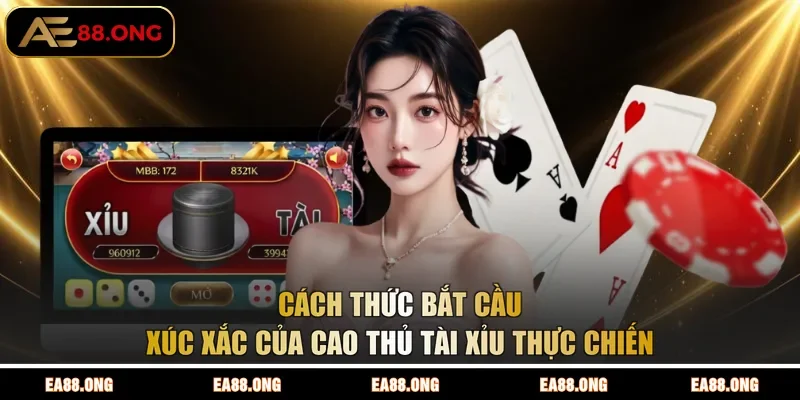 Cách thức bắt cầu xúc xắc của cao thủ Tài Xỉu thực chiến